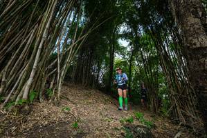 BIB: 
                            <button type="button" onclick="openModal(19395788)" class="btn btn-primary btn-sm float-right btn-popup" data-toggle="modal" data-target=".modal-high-quality">
                        <i class="fas fa-shopping-cart"></i> Add to Cart
                    </button>
                                            <button type="button" onclick="isThisMe(19395788, true)" class="btn btn-success btn-sm float-right btn-popup btn-isme hidden" data-toggle="tooltip" data-placement="bottom" title="นี่คือรูปของคุณใช่ไหม คลิกที่นี่เพื่อเอาเข้าอัลบั้ม">
                        <i class="fas fa-plus"></i> Add to album
                    </button>
                    <button type="button" onclick="isThisMe(19395788, false)" class="btn btn-warning btn-sm float-right btn-popup btn-isnotme hidden">
                        <i class="fas fa-ban"></i> Remove from album
                    </button>